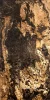 Kamenná dyha - Autumn Rustic - transparentná, 1220 x 2440 x 3 mm