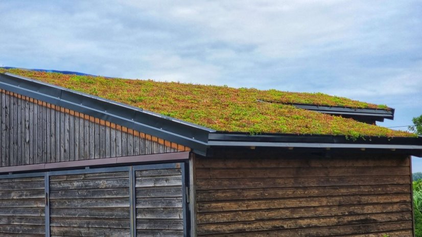 Zelená střecha EUREKO GREEN - Druh výrobku: Střešní šablona se substrátem a vegetací