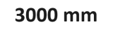3000 mm