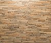 OPUS - SMRK | BOROVICE, 720 x 100 mm (0,072 m²) - 2D obkladový panel na stěnu