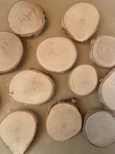 Dřevěné kolečko z břízy - malé (průměr 6-9 cm)