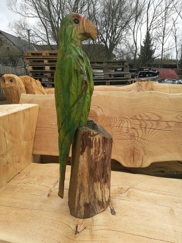 Papoušek dřevořezba