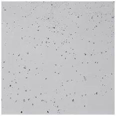 Betonový obklad, Z BETONU, STOCKHOLM 1, světle šedá, 740 x 370 mm, tloušťka 17 mm, 0.54 m2