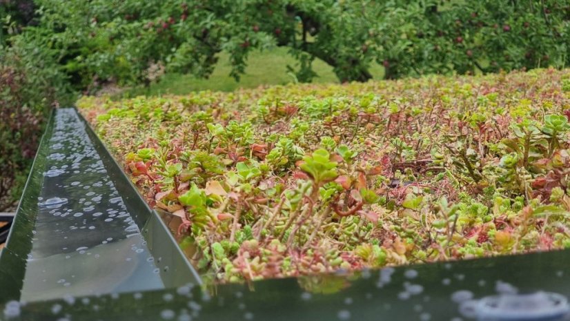 Zelená střecha EUREKO GREEN - Druh výrobku: Střešní šablona se substrátem a vegetací