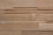 DUB VÁPNĚNÝ Stepwood ® Original, 1250 x 219 mm (0,274 m²) - obkladové panely na stěnu