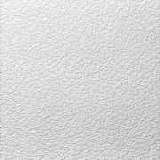 Stropní kazety pěněné bílé - GRYS s falcem, 495 x 495 x 10 mm