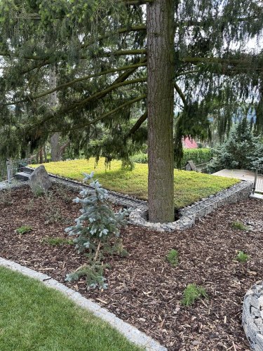 Realizace zelené střechy EUREKO GREEN – Originální a nenápadné řešení