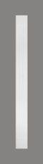Pilaster - 165 x 2000 x 18 mm