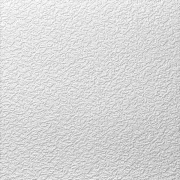Stropní kazety pěněné bílé - GRYS s falcem, 495 x 495 x 10 mm