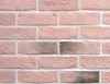 Screenshot 2019 01 22 Katalog Cihlové pásky Holland brick Wild Stone