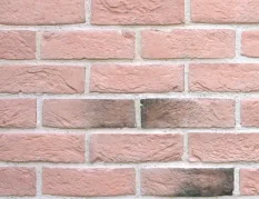 Screenshot 2019 01 22 Katalog Cihlové pásky Holland brick Wild Stone