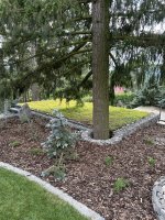 Realizace zelené střechy EUREKO GREEN – Originální a nenápadné řešení