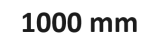 1000 mm