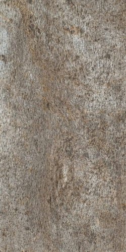 Kamenná dýha - Silver Shine Gold, 1220 x 610 x 3 mm