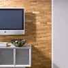 OBKLADAČKY NA STENU