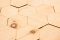VZORKA - Drevený obklad, HEXAGON, BOROVICA, brúsený, olejovaný. ROZMER VZORKY: 150 x 150 mm
