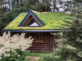 Aké rastliny zvoliť pre zelenú strechu EUREKO GREEN?