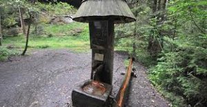 Dřevěný žlab do studánky