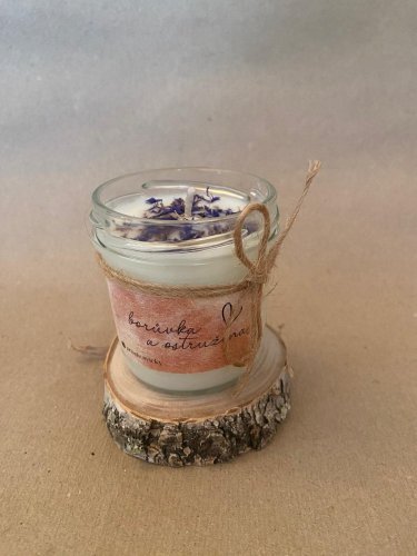 Dřevěné kolečko z břízy - malé (průměr 6-9 cm)