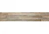 DUB BIELENÝ Stepwood ® Original, 1250 x 219 mm (0,274 m²) - stenové obkladové panely - Povrchová úprava: Kartáčovaný - lakovaný