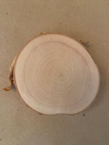 Dřevěné kolečko z břízy - velké (průměr 11-15 cm)