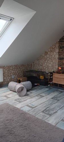 BŘÍZA - OBKLADOVÁ KOLEČKA, obklad z větví (ø 60 - 130 mm) - dřevěný obklad - Povrchová úprava: Broušený - bez povrch. úpravy