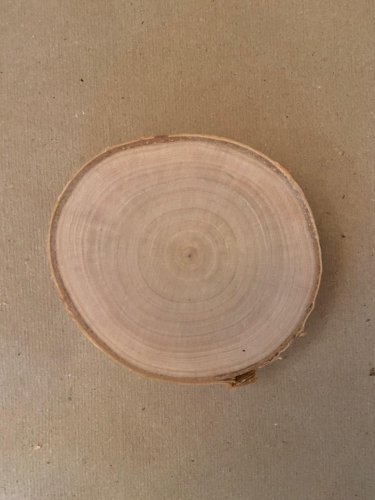 Dřevěné kolečko z břízy - střední (průměr 9-11 cm)