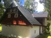 Drdlíkov drevený šindeľ, plastový šindeľ EUREKO DDS II - Farba: Tmavo hnedá