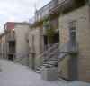 slanec 006