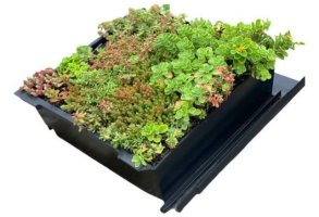 Aký je princíp fungovania zelenej strechy EUREKO GREEN?