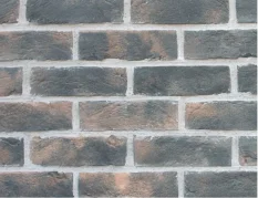 Screenshot 2019 01 22 Katalog Cihlové pásky Holland brick Wild Stone(3)