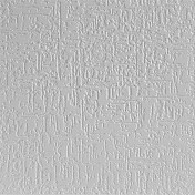Stropní kazety ražené - DEKOR 80, 495 x 495 x 6 mm