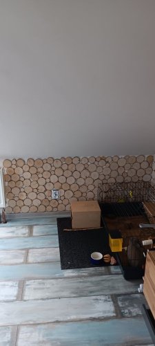 BŘÍZA - OBKLADOVÁ KOLEČKA, obklad z větví (ø 60 - 130 mm) - dřevěný obklad - Povrchová úprava: Broušený - bez povrch. úpravy