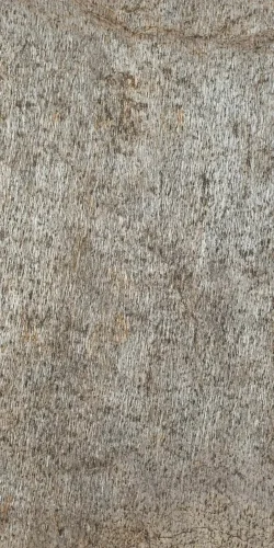 Kamenná dýha - Silver Shine Gold, 1220 x 610 x 3 mm