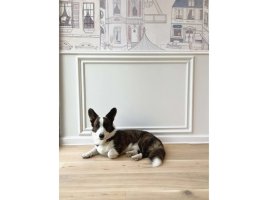 Realizace nástěnných lišt – Chodba v honosném duchu