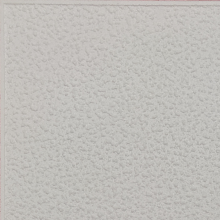 Stropní kazety pěněné bílé - STRUKTUR, 495 x 495 x 8 mm