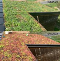 Aký je optimálny sklon strechy EUREKO GREEN?