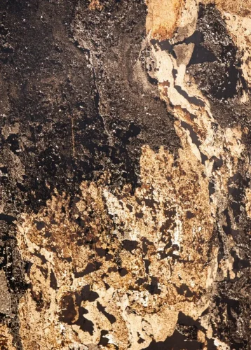 Kamenná dyha - Autumn Rustic - transparentná, 1220 x 2440 x 3 mm