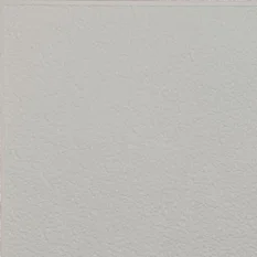 Stropní kazety pěněné bílé - KRISTAL, 495 x 495 x 8 mm