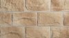 Betonový obklad, Z BETONU, ROMA 1, hnědá, 160 x 285 mm, tloušťka 16-27 mm, 0.75 m2