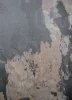 Kamenná dyha - Autumn Rustic - transparentná, 1220 x 2440 x 3 mm