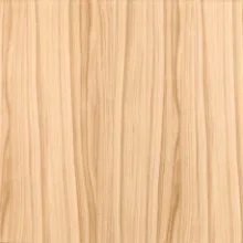 Stropní kazety imitace dřevo - BŘÍZA T13 , 495 x 495 x 3 mm