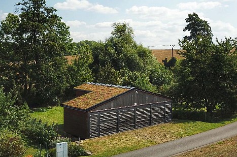 Znáte všechny výhody zelené střechy EUREKO GREEN?