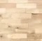 Bříza