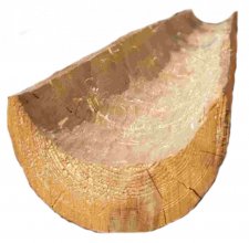 Dřevěný dlabaný žlab