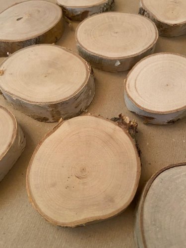 Dřevěné kolečko z břízy - malé (průměr 6-9 cm)