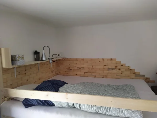 BOROVICE VEJMUTOVKA Obklad k moření (povrchové zamodrání)