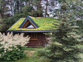Realizace zelené střechy EUREKO GREEN na malém srubu