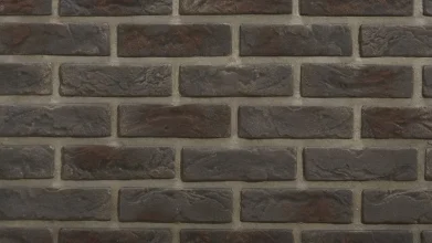 cam8